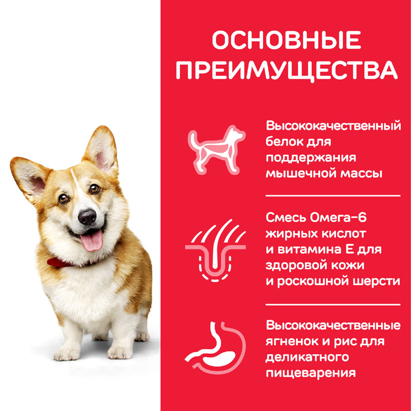 ПР0051322 Корм для собак Hill"s для миниатюрных пород, ягненок, рис сух. 6кг Hill's  - Вид №3