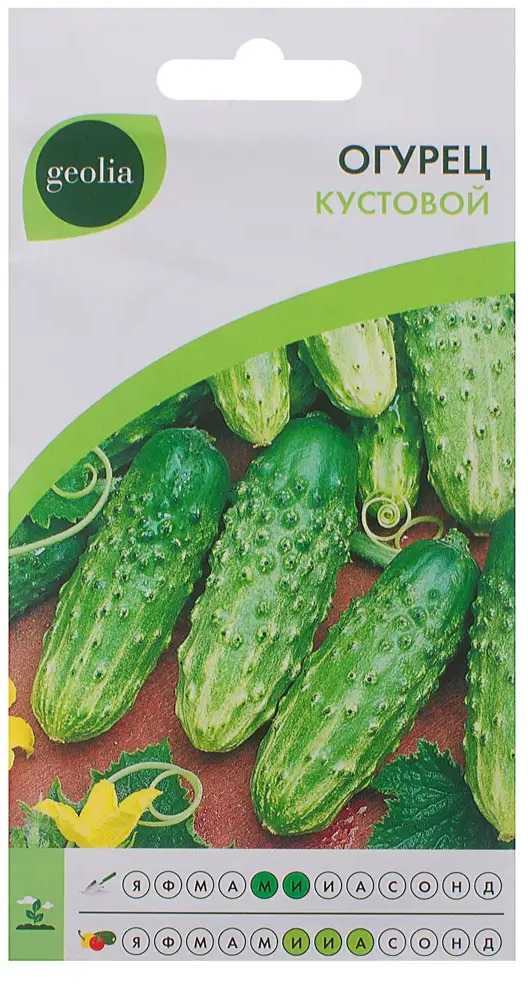Семена огурца GEOLIA Кустовой - компактный сорт для небольших участков 17584794