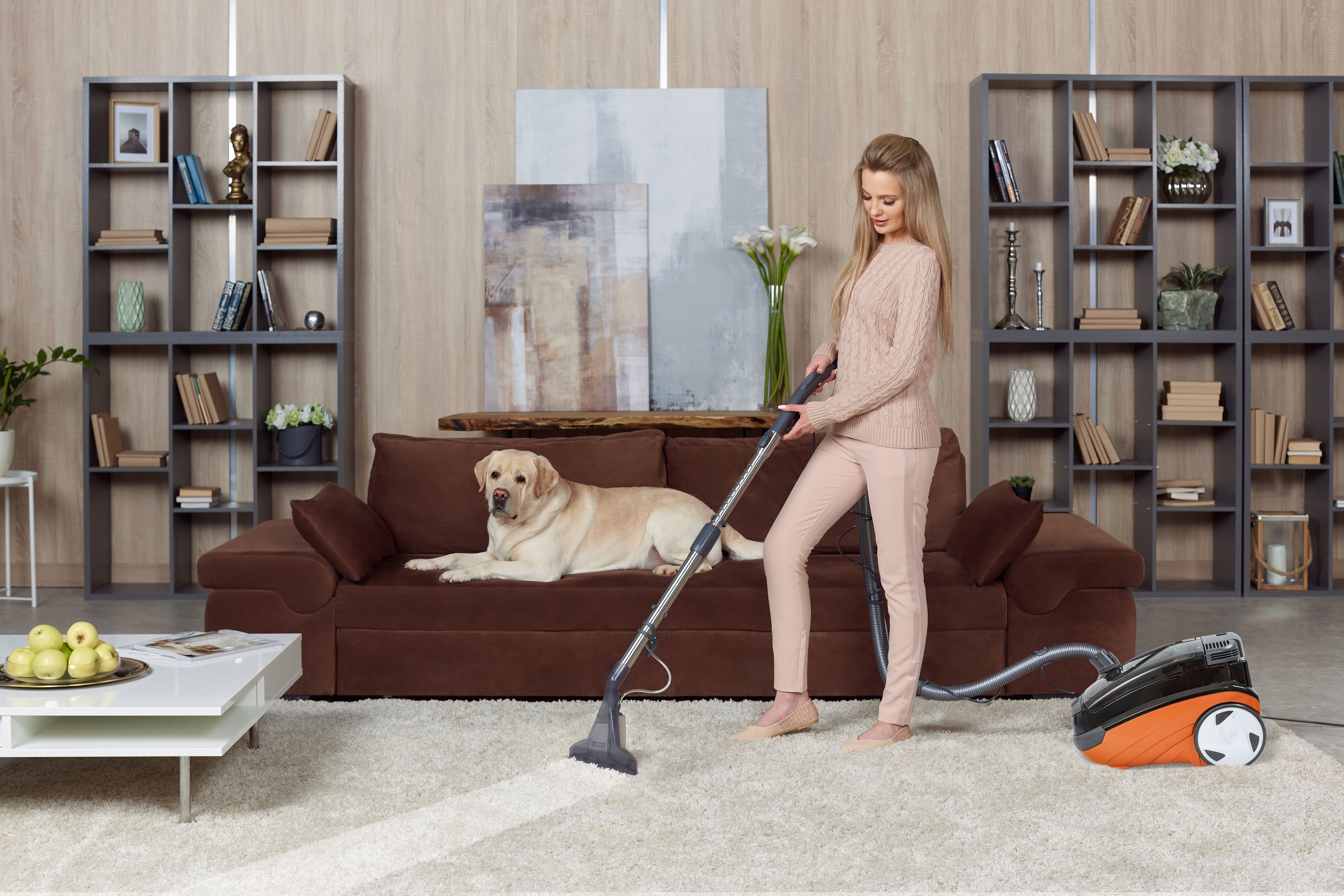 5494558 Пылесос Thomas  Aquatic Lynx оранжевый STDN-0053894 - Вид №15