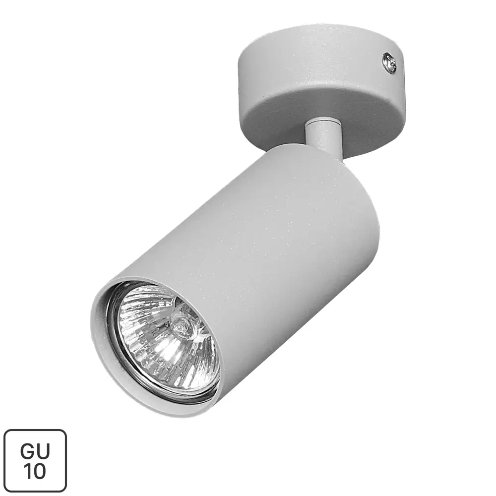Поворотный спот Arte Lamp Arius серый — точечное освещение интерьера 82138003 STLM-0020144