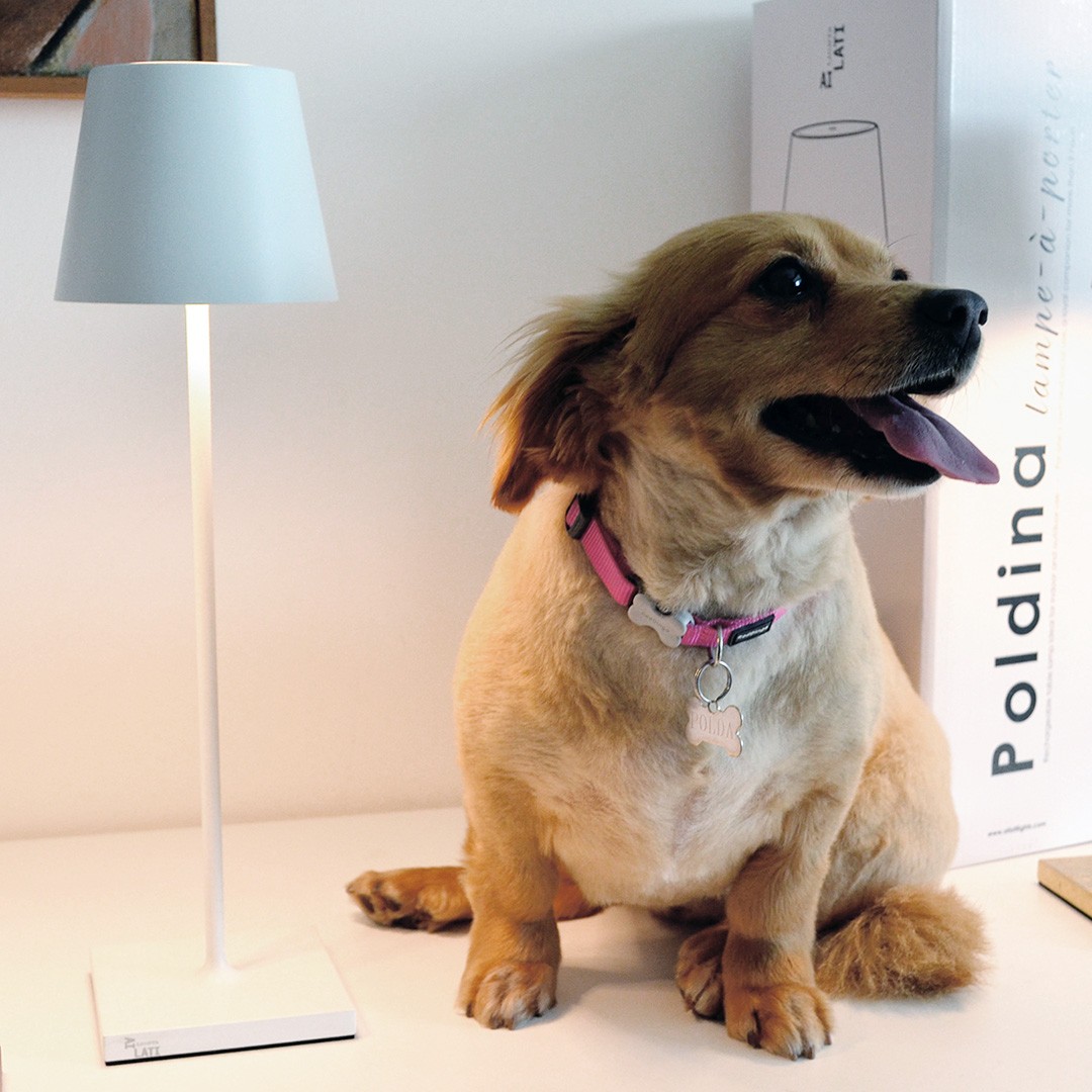 Zafferano POLDINA LD0280B3 TABLE LAMP WHITE светильник декоративный 117148 - Вид №3