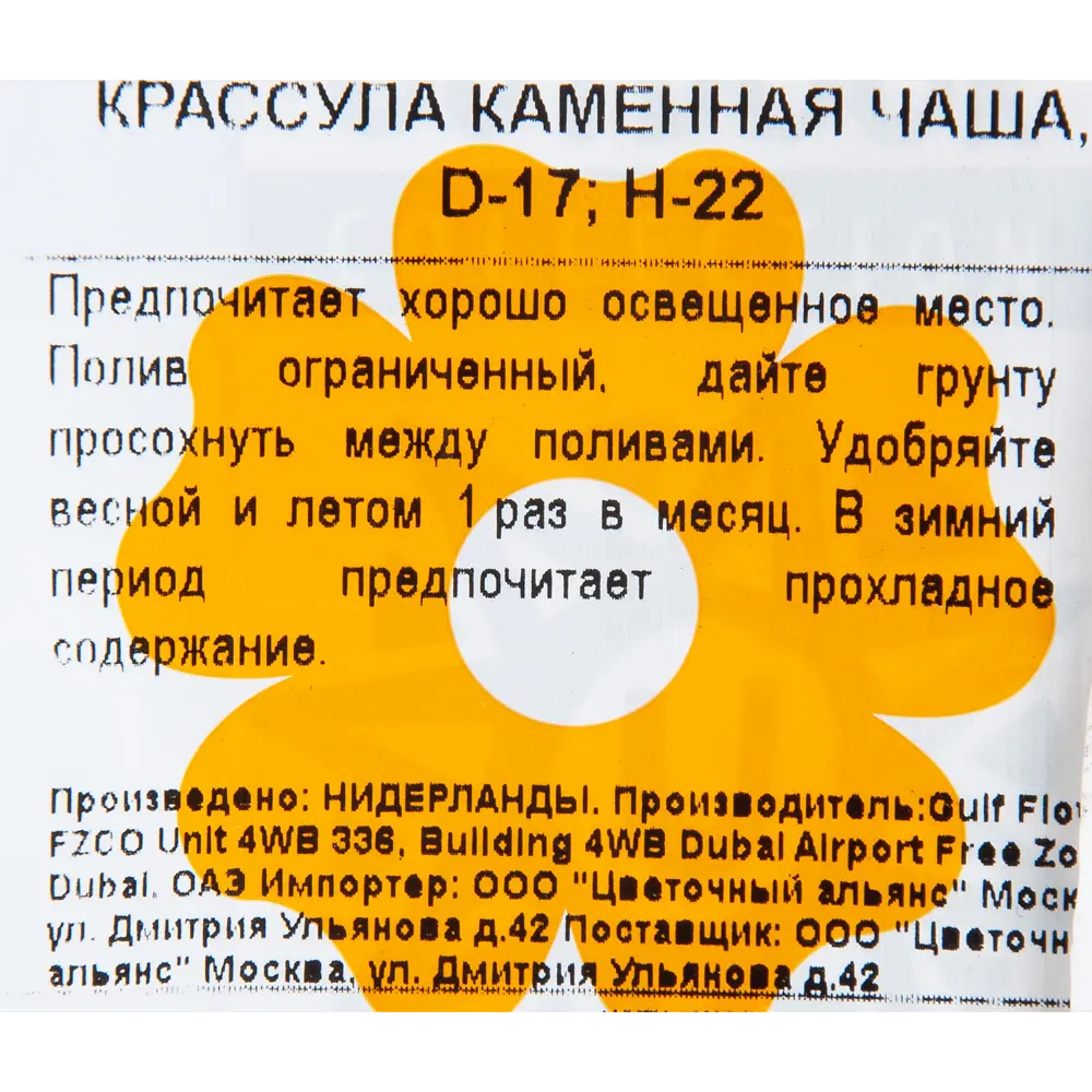 Крассула в каменной чаше 17x22 см 82850441 STLM-2145778 Santreyd  - Вид №2