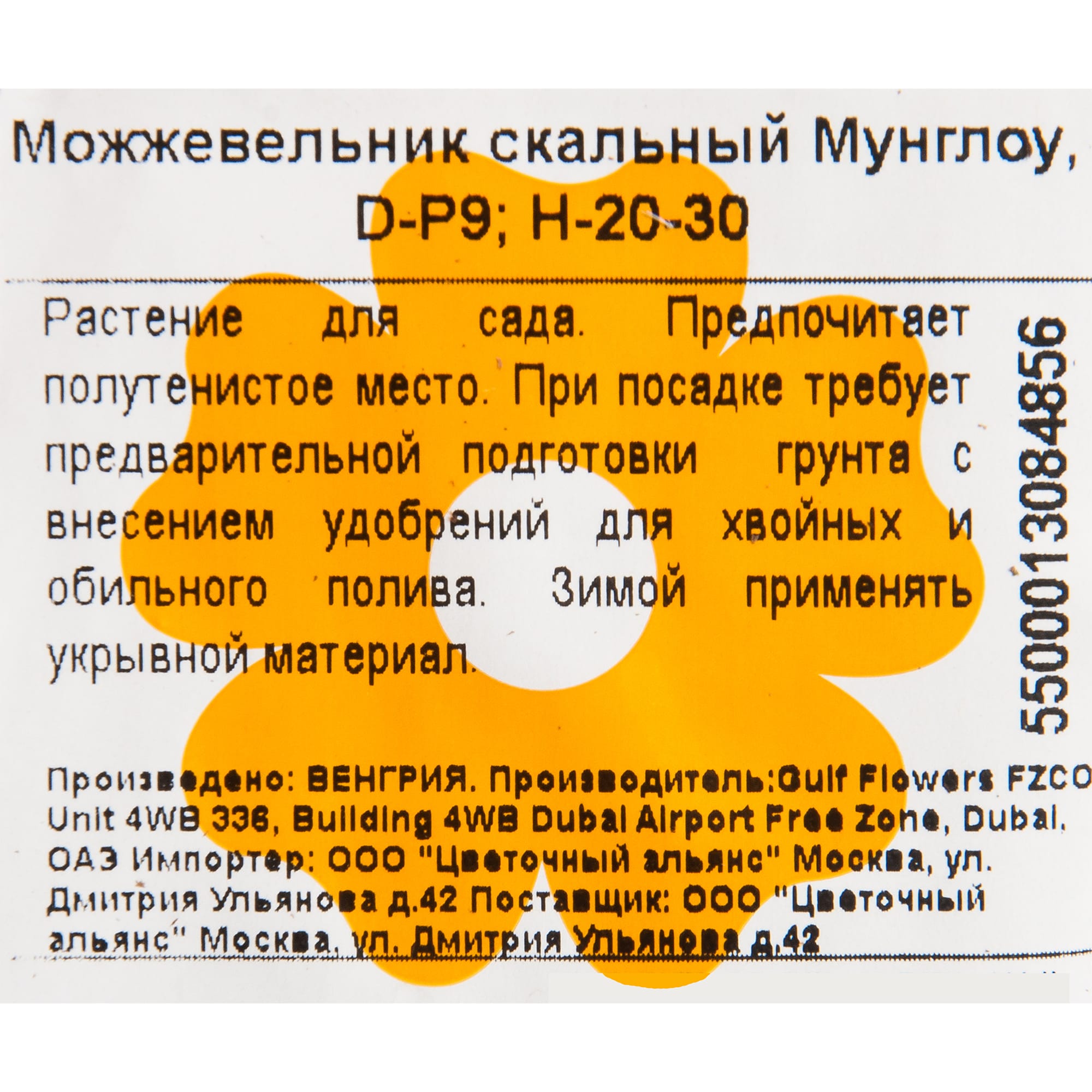 82601656 Можжевельник скальный «Мунглоу» 9x25 см Santreyd  - Вид №1