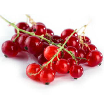 Красная смородина Santreyd 2087