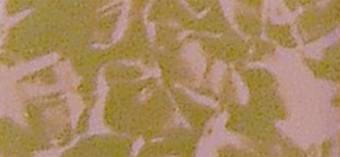 3111416 Фольга "восковая", Cracelle, 20x10 см, упаковка 1 шт., цвет бледный розовый Santreyd 