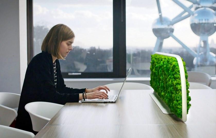 GREEN MOOD Звукопоглощающая перегородка стола G-line sun-id-1490317 - Вид №4