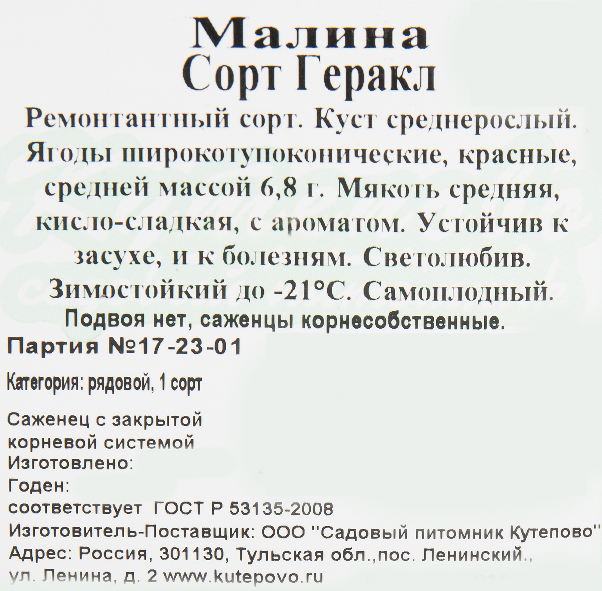 Саженец малины Геракл Santreyd - ремонтантный сорт с крупными ягодами 82597106 STLM-0031002 - Вид №1