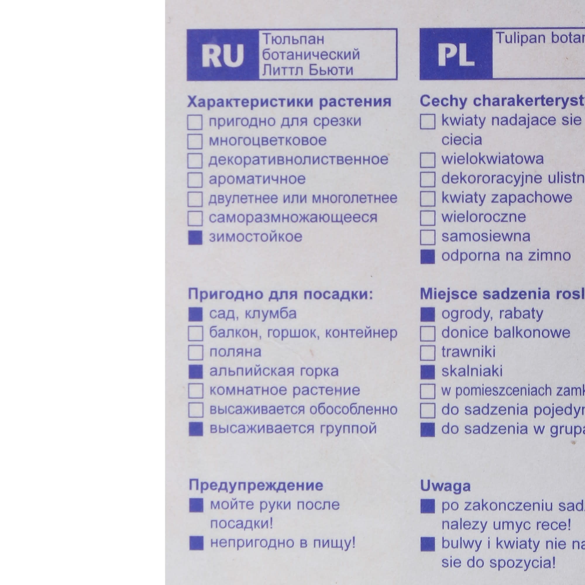 82004142 Тюльпан ботанический «Литл Бьюти» Santreyd  - Вид №2