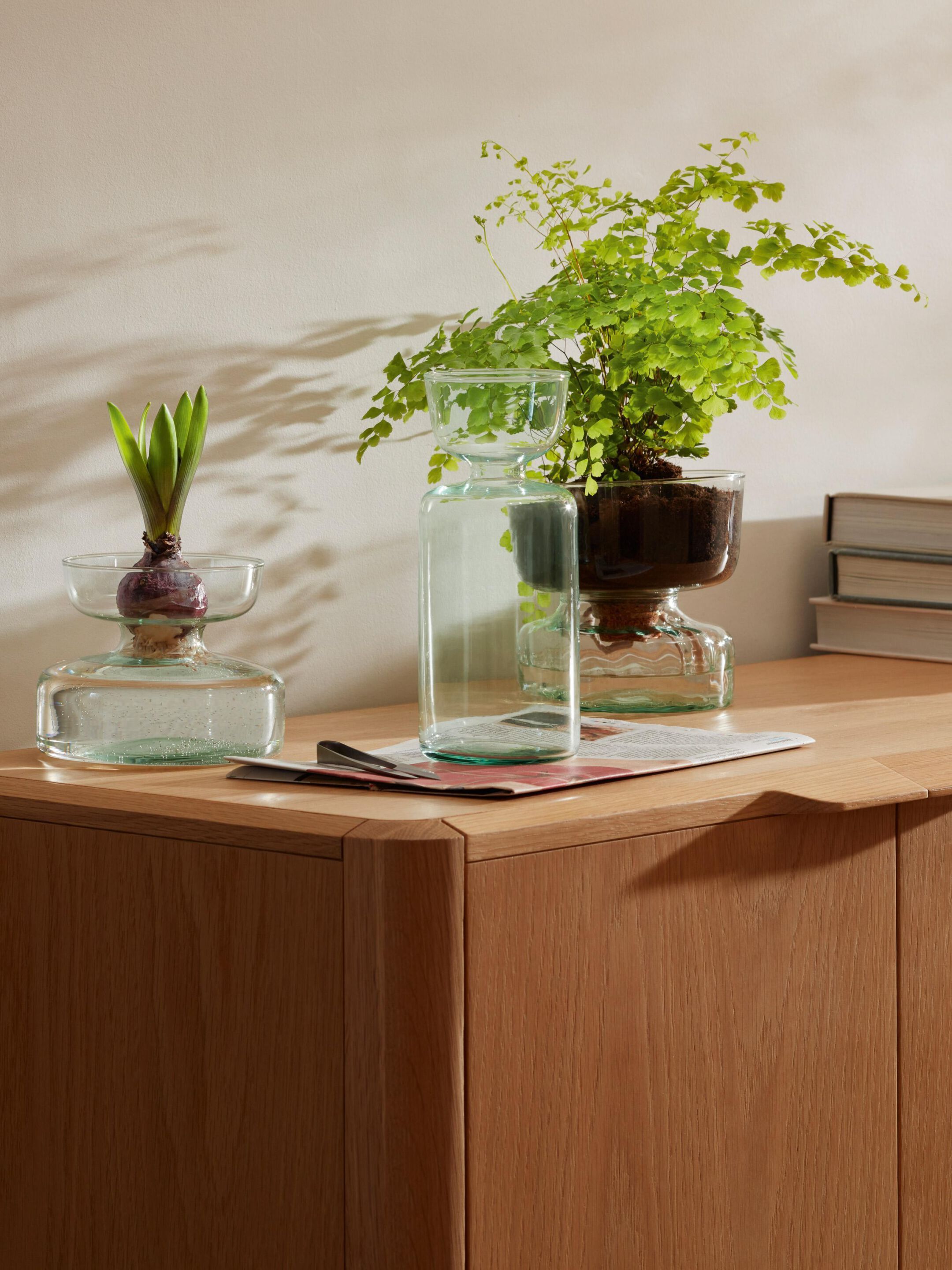 Переработанная стеклянная банка LSA Canopy ARCH-00023388 - Вид №3