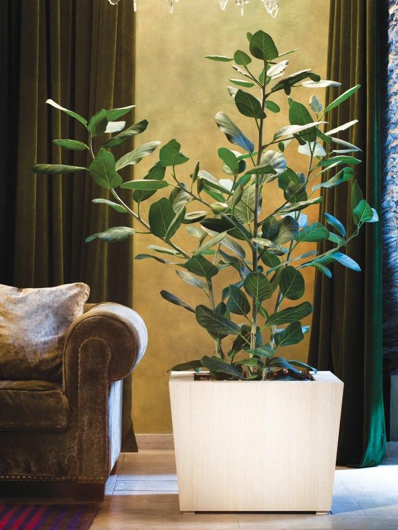 Hobby Flower Низкий квадратный горшок с автоматическим поливом Natura sun-id-1443969 - Вид №3