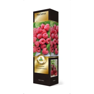 Малина Бригантина h37 см 83791429 STLM-2084661
