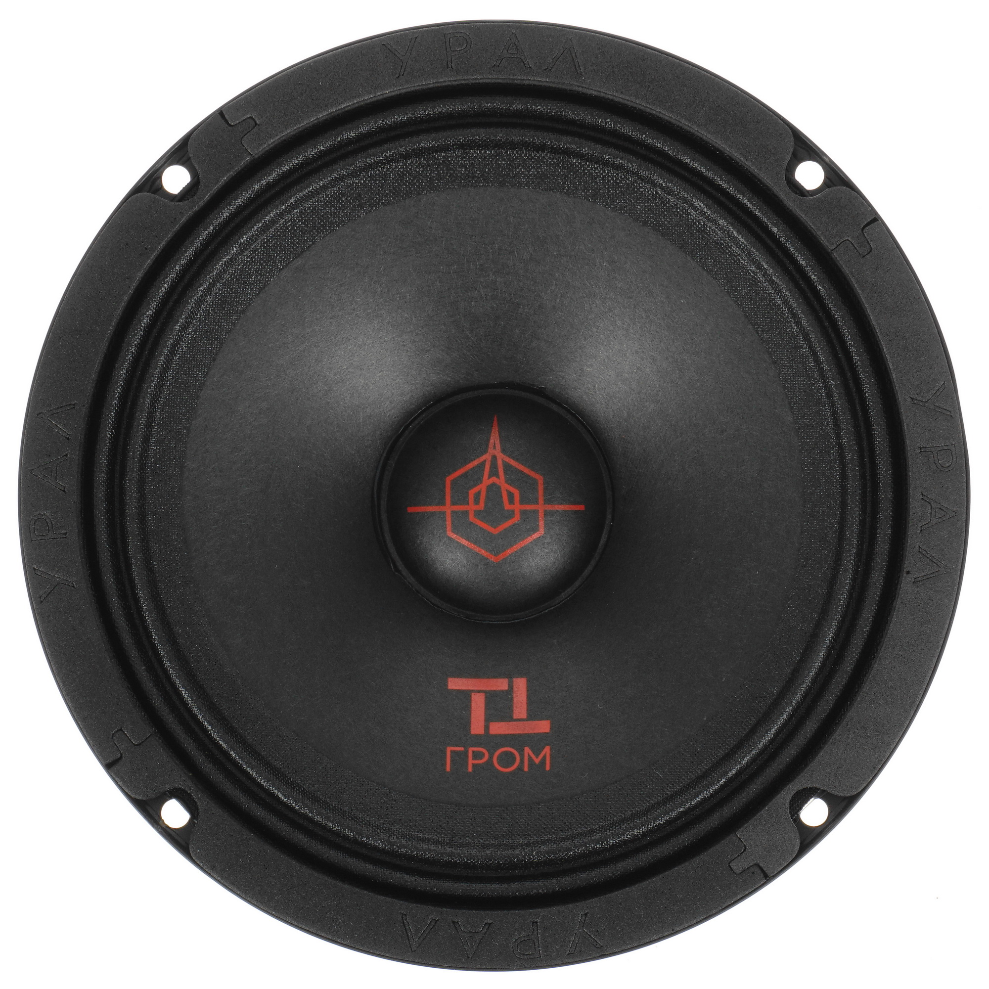 5020540 Среднечастотная акустическая система Ural ТТ-165 ГРОМ STDN-0094174 - Вид №1