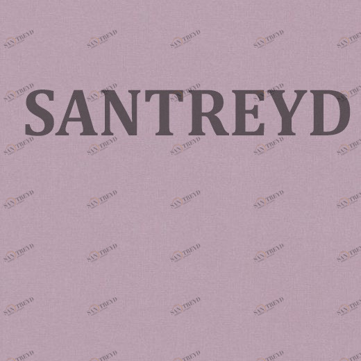 517071 Обои Rasch Palace