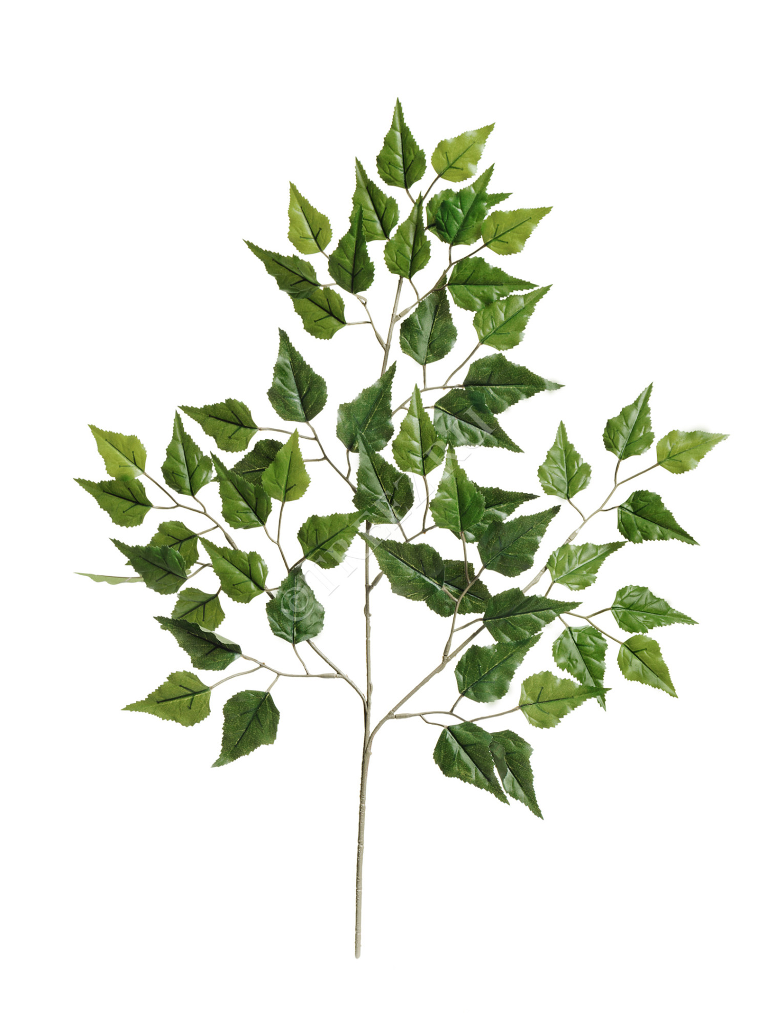 20.1593N Ветка березы 65 см Цветочная коллекция 