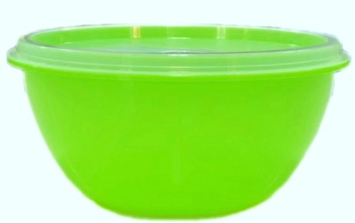 SC11-120 Контейнер пищевой круглый 500 мл Зеленый Цветочная коллекция 