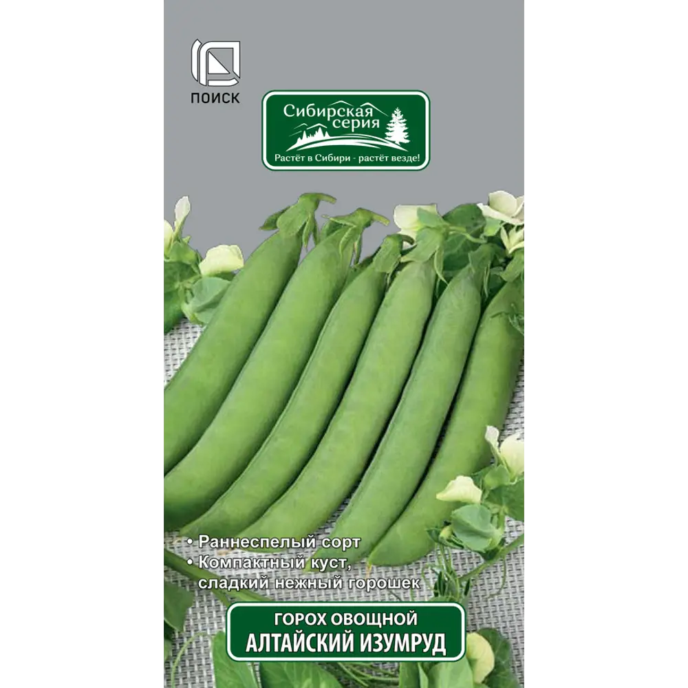Горох овощной «Алтайский изумруд» от ПОИСК - сладкий сорт сибирской серии 18358676 STLM-0010500