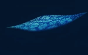 MOMENTI Авторский художественный принт Crazy home paintings Tz-006