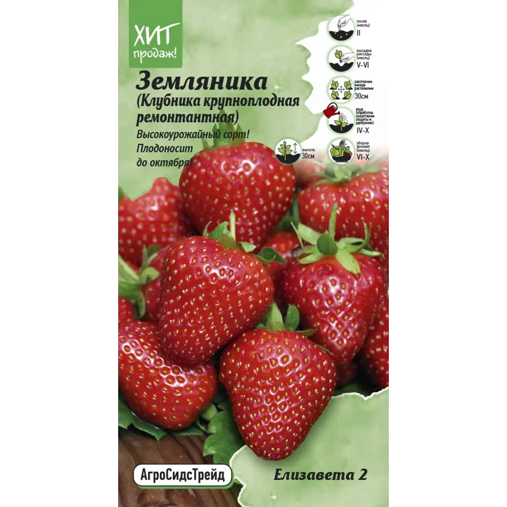 Семена ягод Агросидстрейд клубника ремонтантная Елизавета 2 89348032 STLM-2158256 Santreyd 