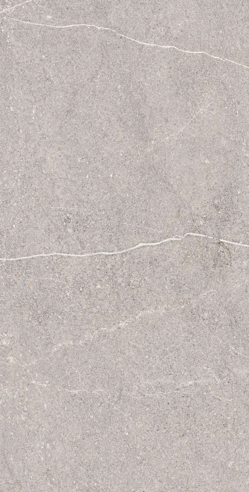 EQUISTONE GRIS: Элегантность природного камня RG6001-A Arcadia Ceramica - Вид №4