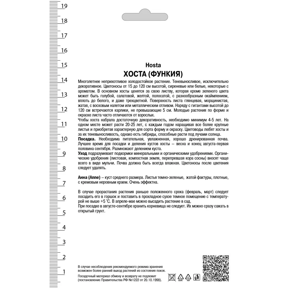 Хоста гибридная Энн I, 1 шт 82530272 STLM-2085626 Santreyd  - Вид №1