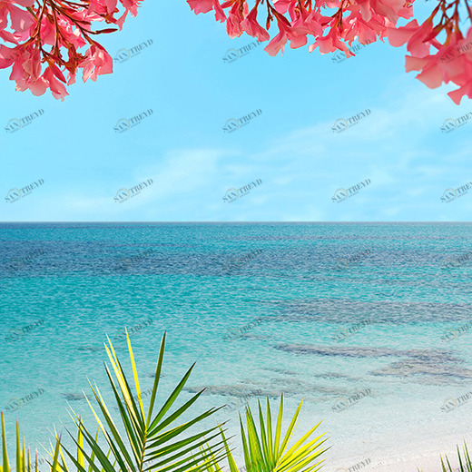 D2-002 Фотообои DIVINO Collection D 2.7х2 м D2002