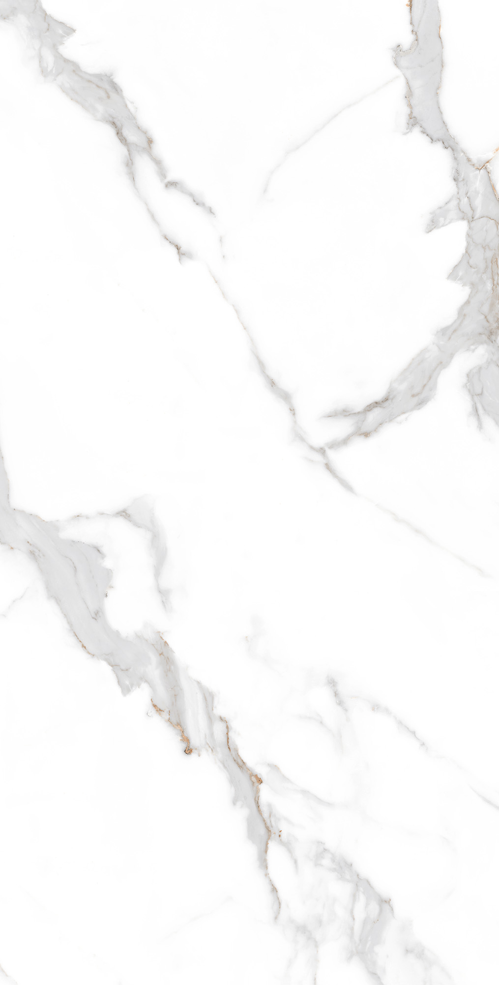 STATUARIO SEVILLE: Белоснежный мраморный шедевр CP4001-A Arcadia Ceramica - Вид №2