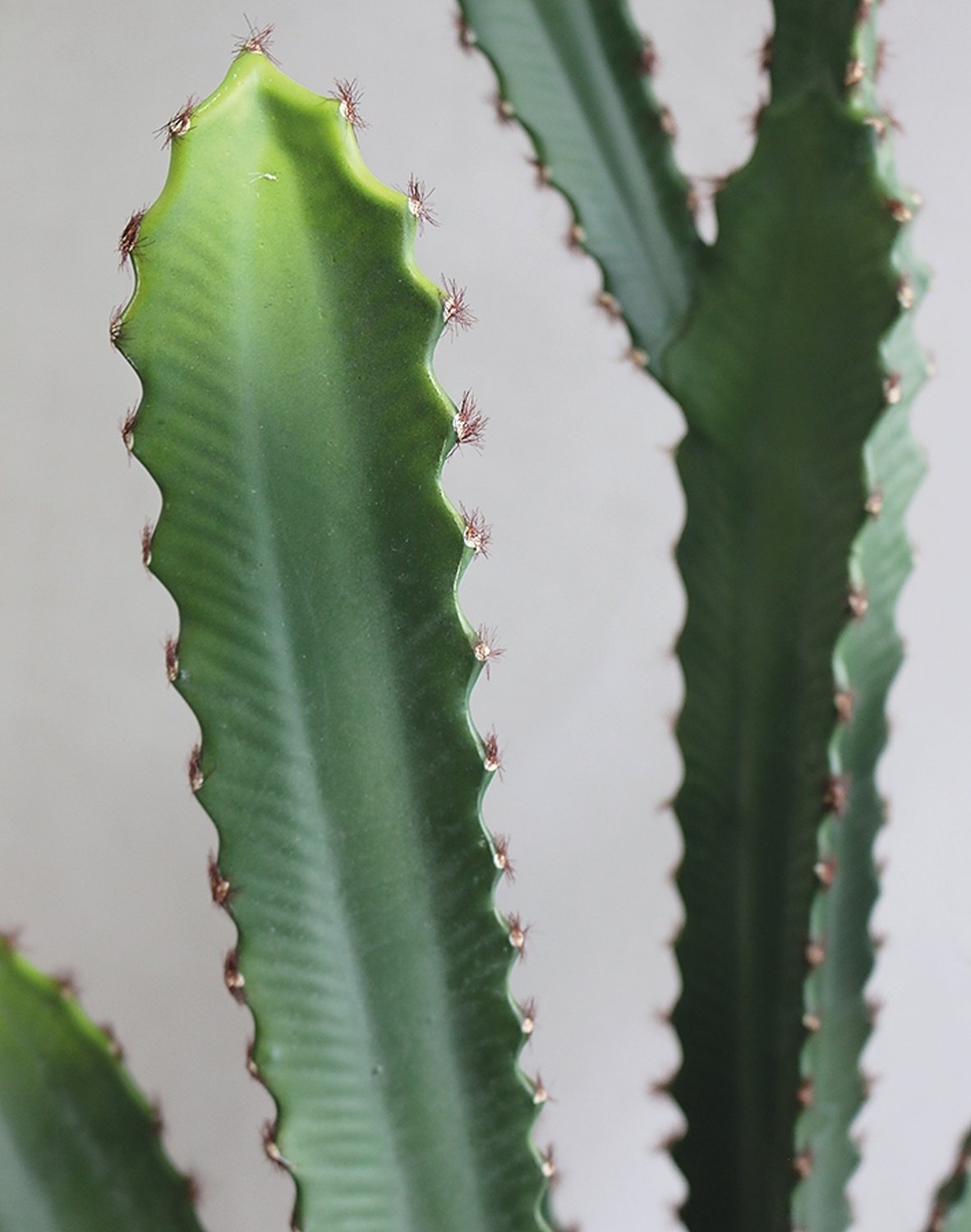 6060 883 a3 Кактус имитация столбика, горшок, 64 см, зеленый H-andreas  - Вид №1