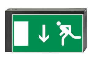 DST-835 Lisu pennant Daisalux Светильники аварийные Металлический Серый