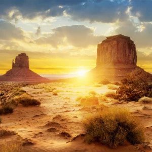 A1-036 Фотообои DIVINO Collection A 2.7х3 м