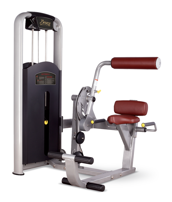 MV-009 mv-009 разгибание спины Bronze Gym MV серия  - Вид №1