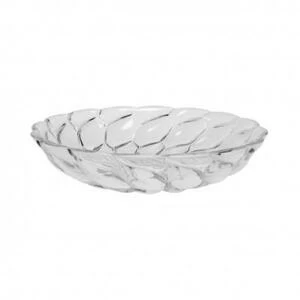 Тарелка / Jellies Family