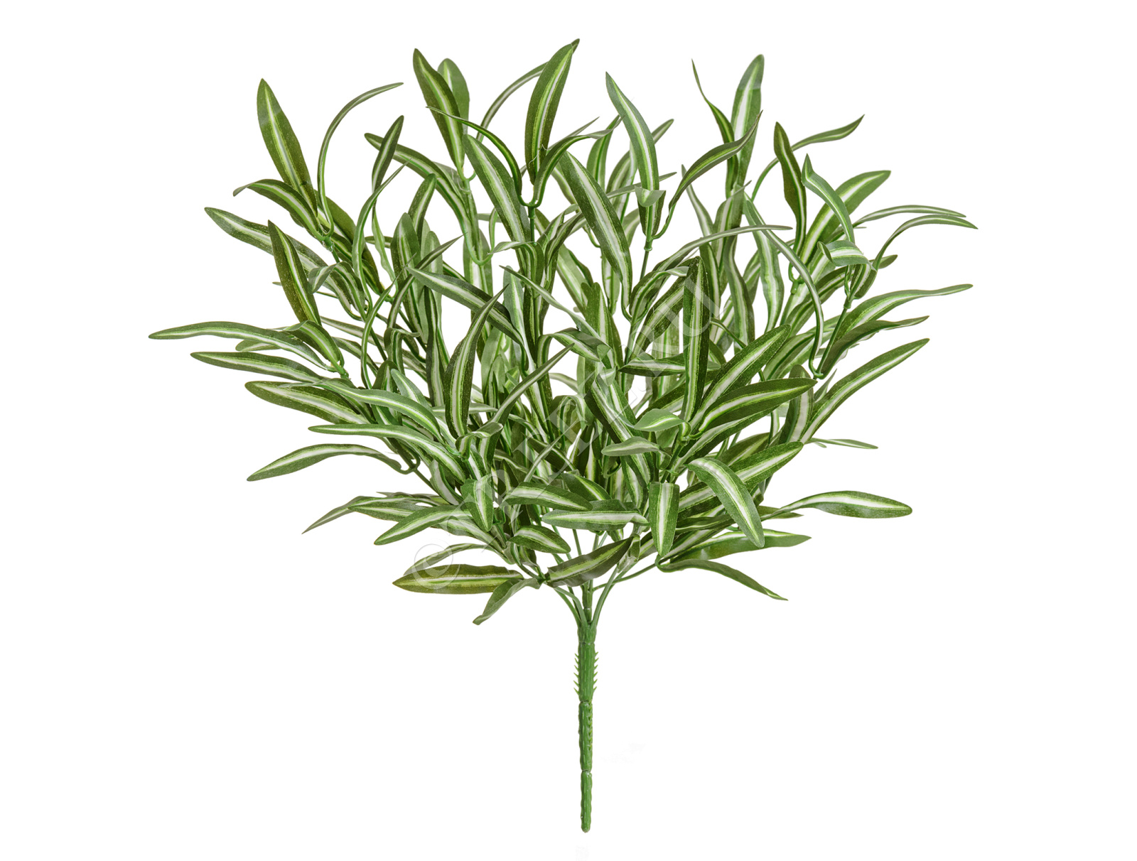 20.072130WGR Спайдер бело-зелёный куст большой (серия MDP) Цветочная коллекция 