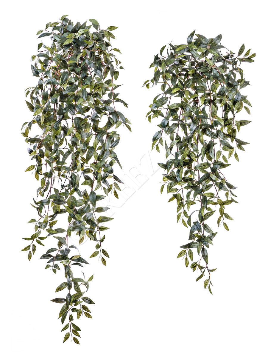 20.1128N Традесканция зелёная ампельная Цветочная коллекция 