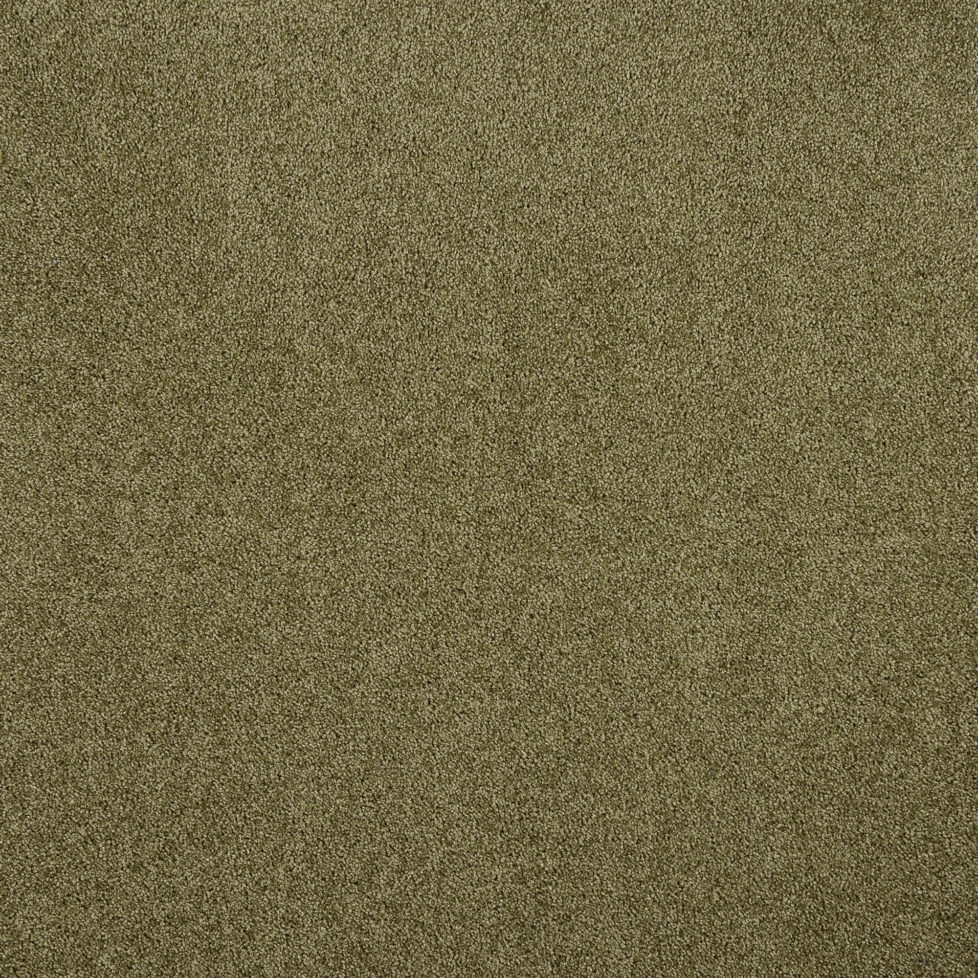 82163708 Ковровое покрытие «Флорида», 3.5 м, цвет светло-оливковый Santreyd 