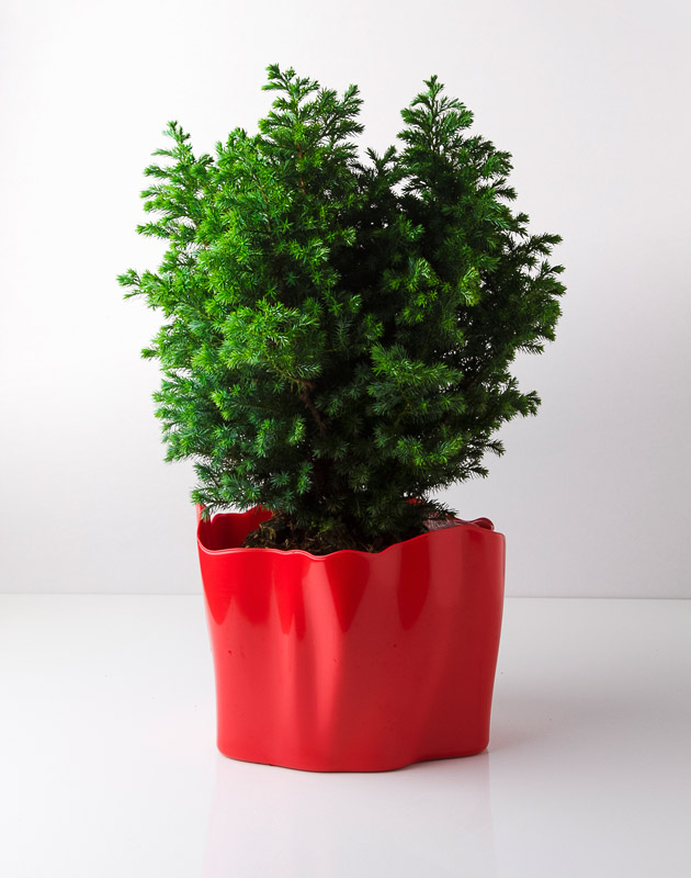 QL10142-RD Органайзер flow средний красный Qualy  - Вид №3