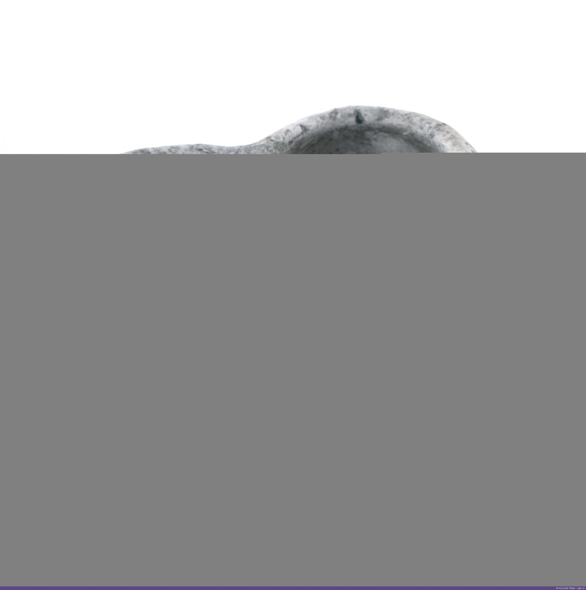 3870507.0181 Кашпо TO4ROOMS 