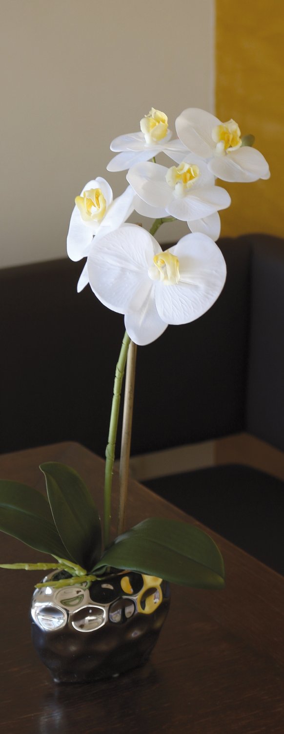 2596 778 a3 Пластиковая орхидея Phalaenopsis, горшечная, 43 см, real touch soft, бежево-белая H-andreas  - Вид №6