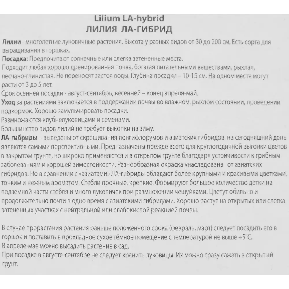 Лилия ЛА-гибрид Куплет луковица 14/16 88294775 STLM-2092850 Santreyd  - Вид №2