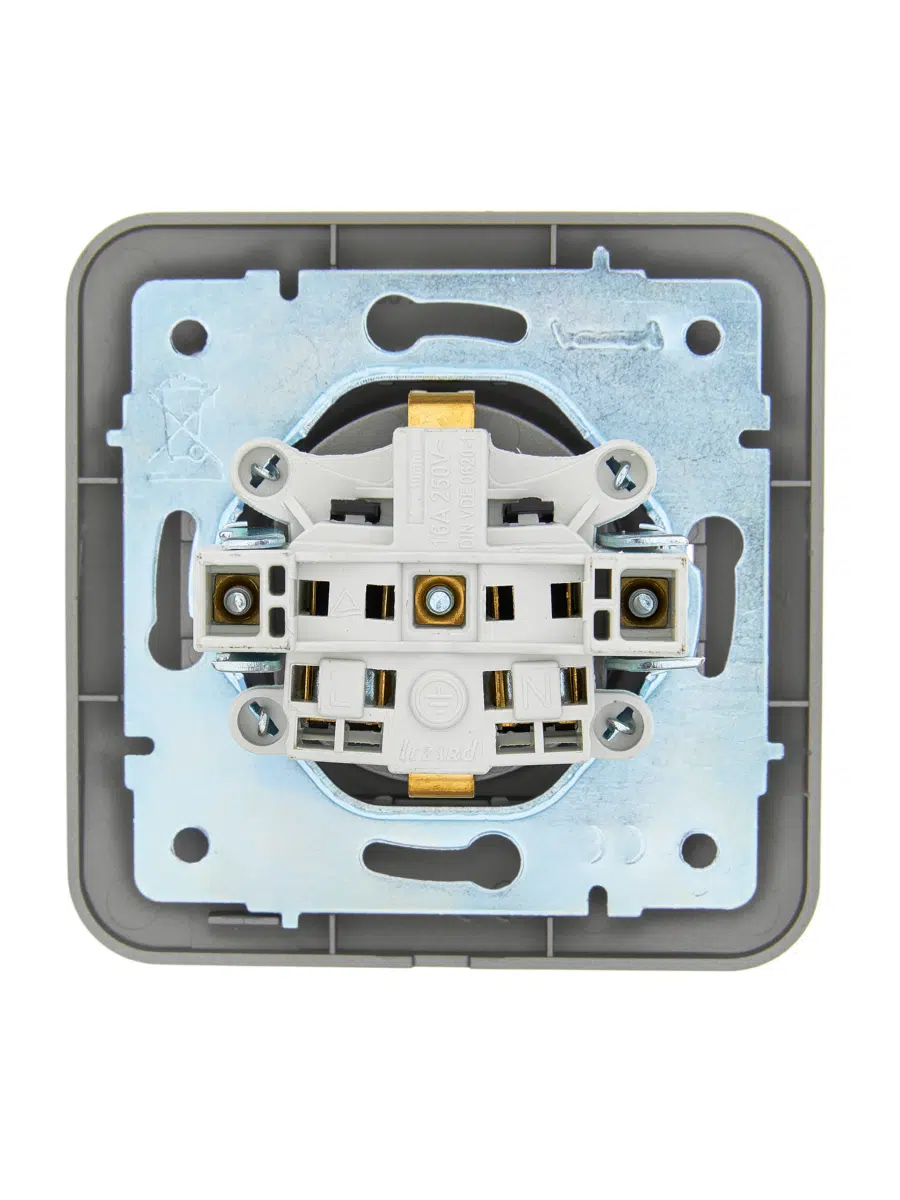 ASTI Розетка с/з с крышкой ПБТ платина LEZARD 7081-3535-123B - Вид №1