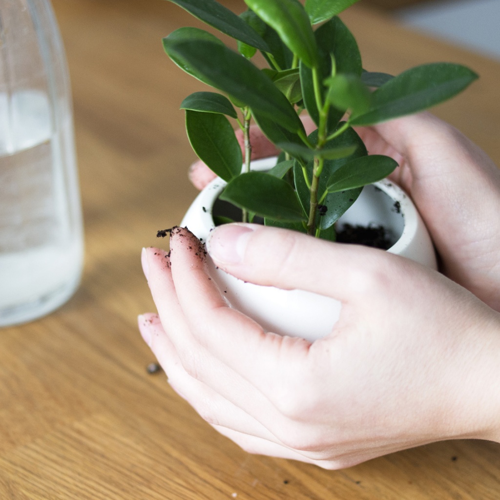 Кашпо ЭКОЧЕЛОВЕКИ STM301 - Вид №5