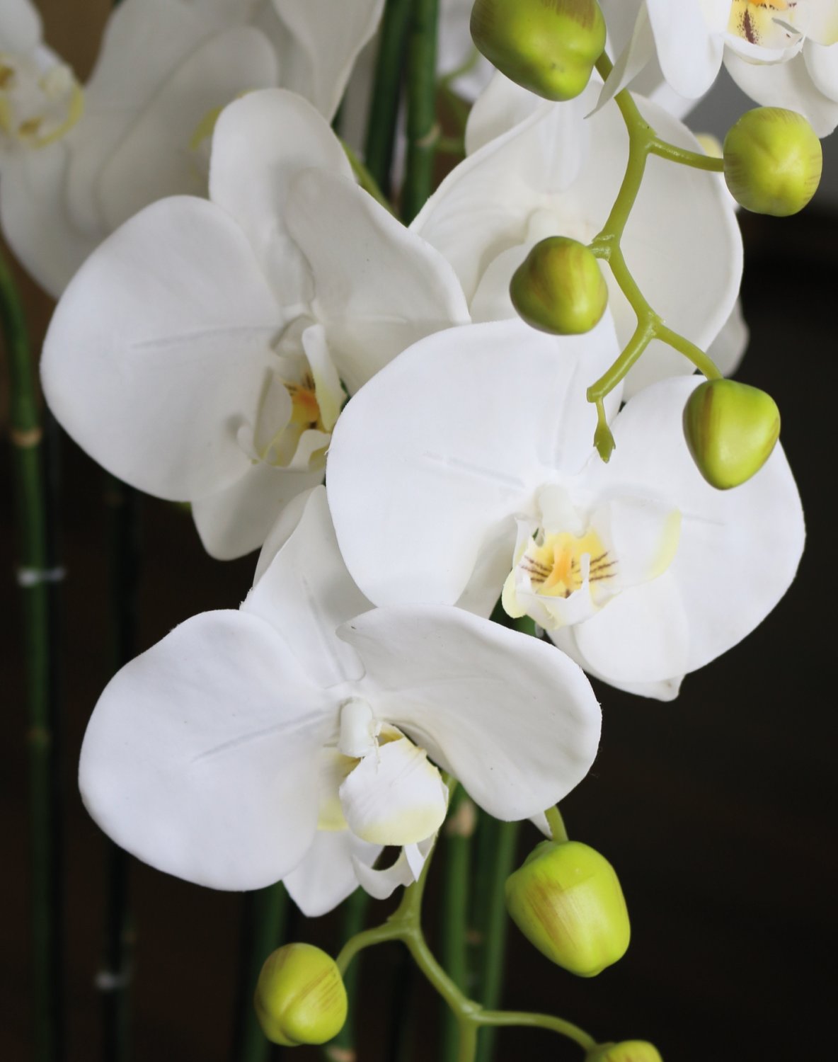 2860 777 a3 Пластиковая орхидея Phalaenopsis с 'почвой', 9-кратная, 120 см, real touch, белая H-andreas  - Вид №13