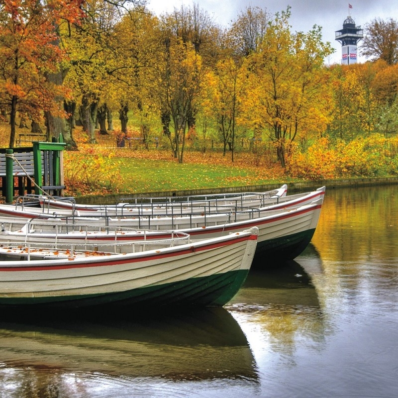 0684/CX38 Картина 0684 Adriani e Rossi  - Вид №3