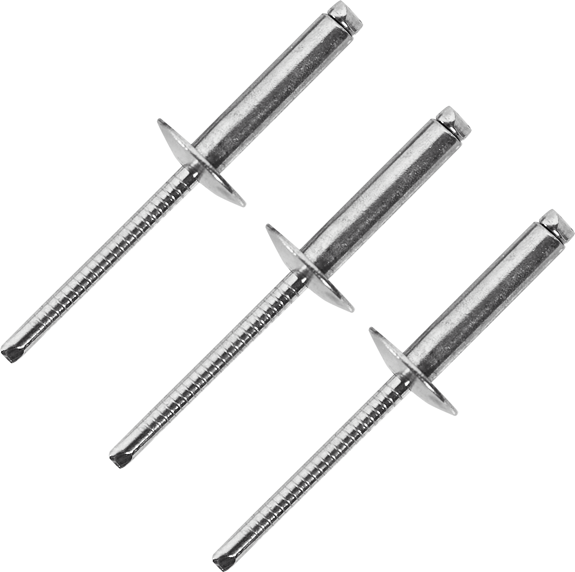 87762149 Заклепка 4.8X21 мм, 25 шт. STLM-0075578 Santreyd 