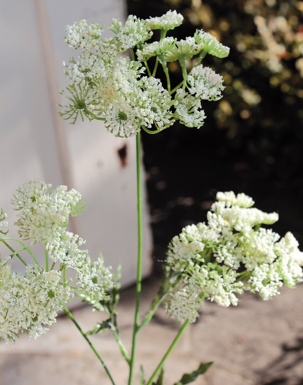 3535 777 a2 Шелковый тысячелистник, 3 цветка, 65 см, белый H-andreas  - Вид №3