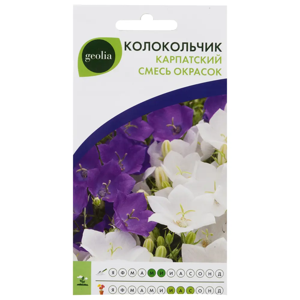 Колокольчик Карпатский GEOLIA - альпийское очарование для сада 17585682 STLM-0961204