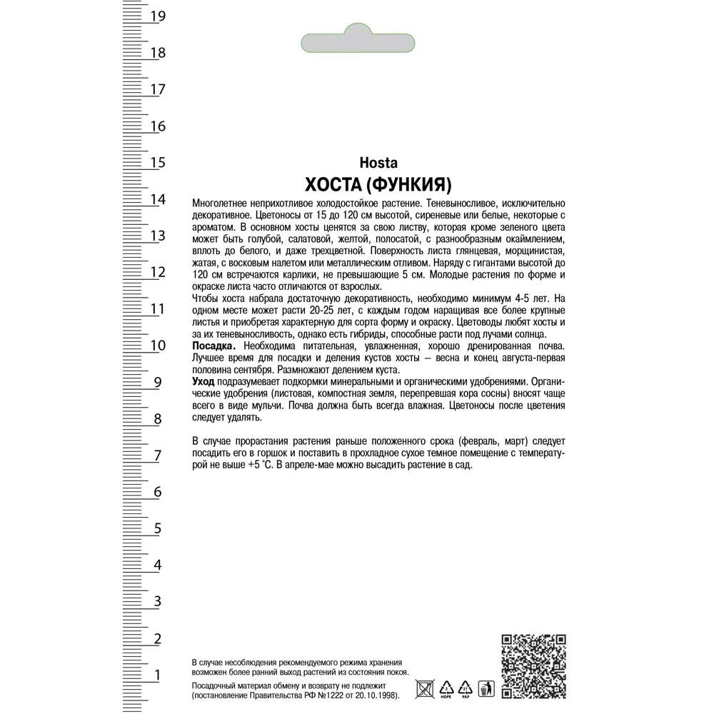 Хоста гибридная «Токудама Флавоцирциналис», 1 шт. 82118743 STLM-2126549 Santreyd  - Вид №1