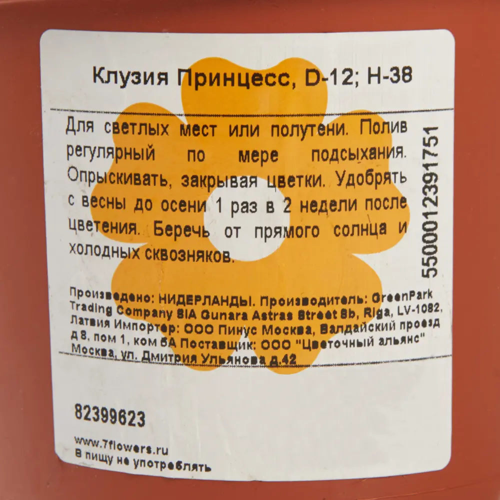Клузия Принцесс 12x38 см 82399623 STLM-2040950 Santreyd  - Вид №2