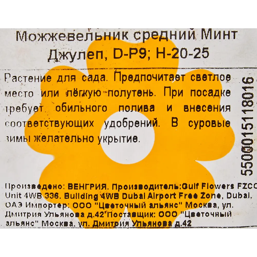 Можжевельник «Минт Джулеп» 9x20 см 82601664 STLM-2212072 Santreyd  - Вид №1