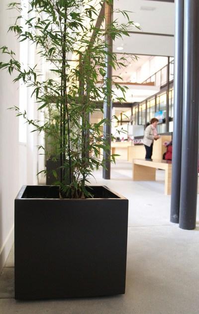 IMAGE'IN Кашпо на колесах для дома и дачи sun-id-1411047 - Вид №12