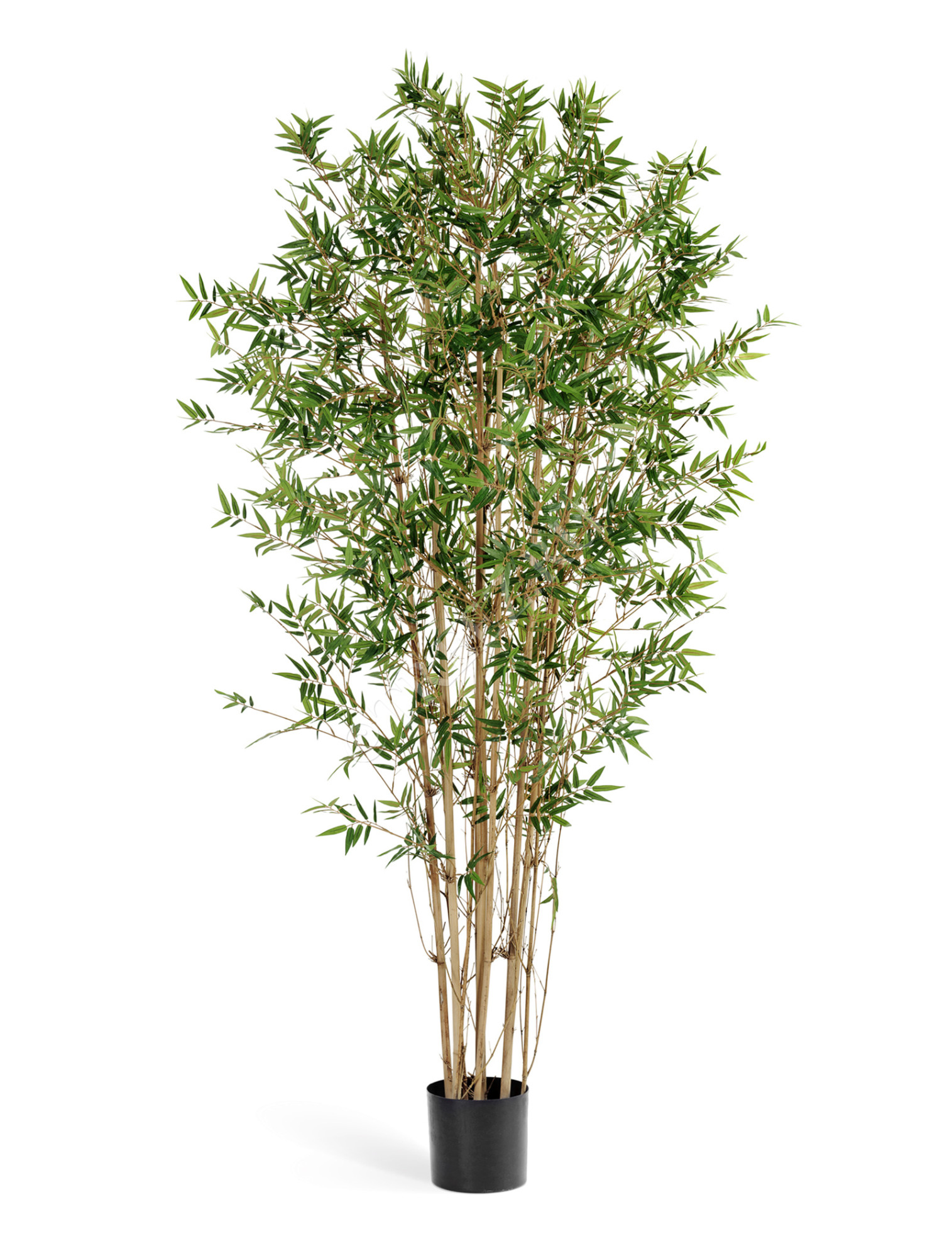 10.34304N Бамбук Японский ориенталь Цветочная коллекция 